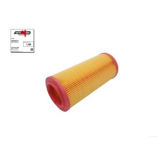 Filtre à air AUTOMEGA