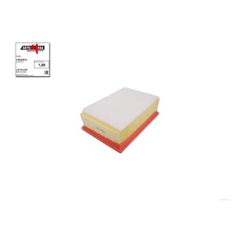 Filtre à air AUTOMEGA