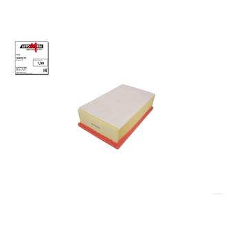 Filtre à air AUTOMEGA