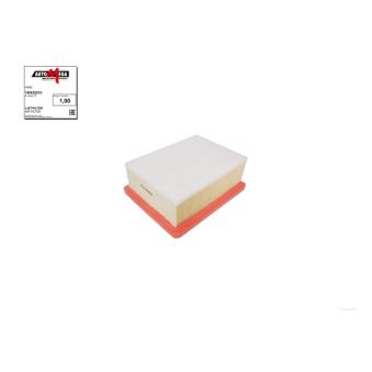 Filtre à air AUTOMEGA