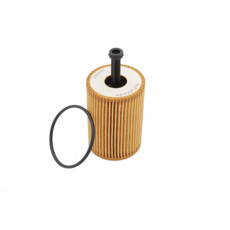 Filtre à huile AUTOMEGA 180039310 - Visuel 1