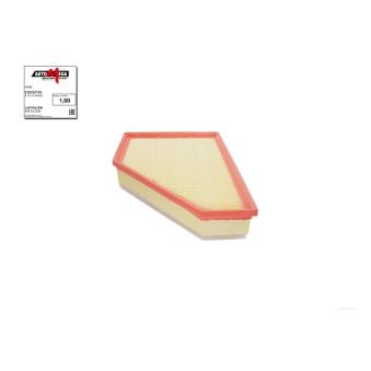 Filtre à air AUTOMEGA