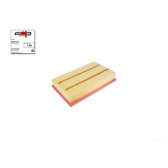 Filtre à air AUTOMEGA