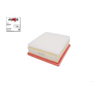 Filtre à air AUTOMEGA