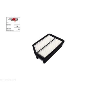 Filtre à air AUTOMEGA