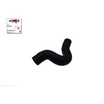 Durite de radiateur AUTOMEGA