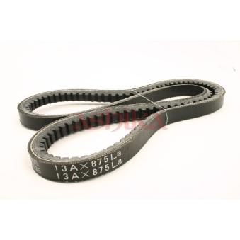 Courroie trapézoïdale ASHIKA 109-13X875