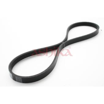 Courroie trapézoïdale à nervures ASHIKA