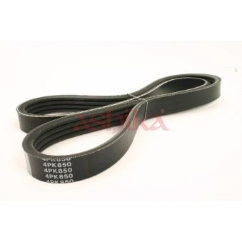 Courroie trapézoïdale à nervures ASHIKA