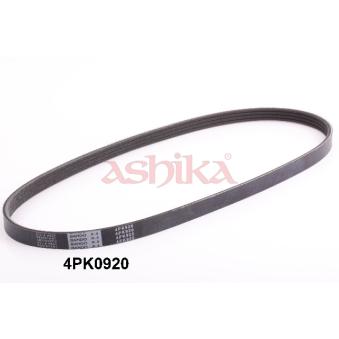 Courroie trapézoïdale à nervures ASHIKA