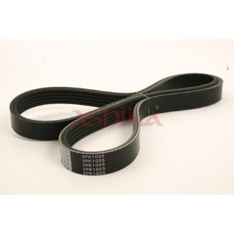 Courroie trapézoïdale à nervures ASHIKA 112-5PK1025