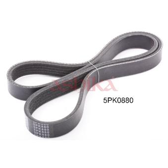 Courroie trapézoïdale à nervures ASHIKA