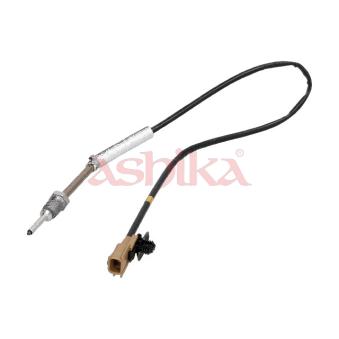 Capteur, température des gaz ASHIKA