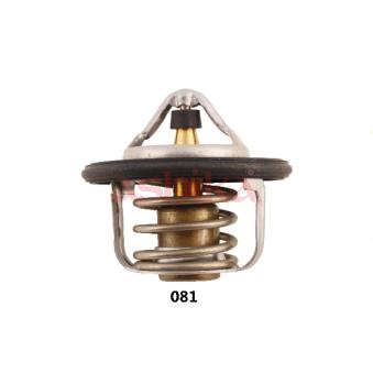 Thermostat d'eau ASHIKA 22-081