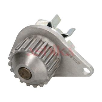 Pompe à eau ASHIKA 35-00-0601