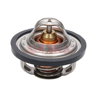Thermostat, liquide de refroidissement ASHIKA 38-00-0302