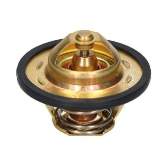 Thermostat, liquide de refroidissement ASHIKA 38-00-0601