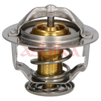 Thermostat d'eau ASHIKA