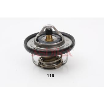 Thermostat d'eau ASHIKA 38-01-116