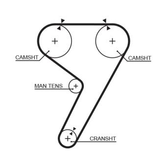 Courroie crantée GATES 5304
