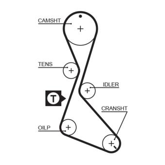 Courroie crantée GATES