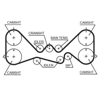 Courroie crantée GATES
