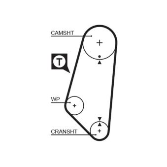 Courroie crantée GATES