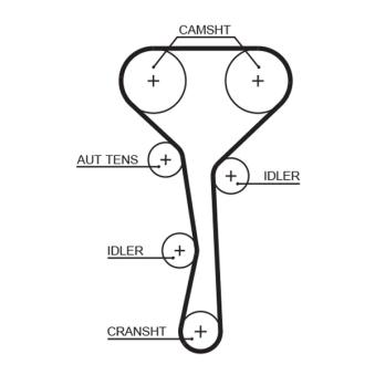 Courroie crantée GATES