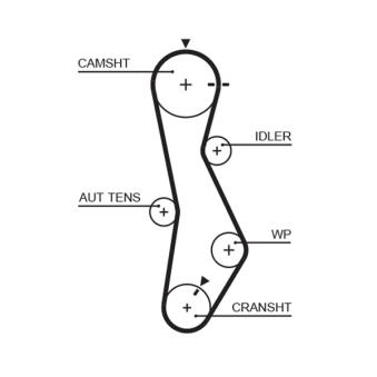 Courroie crantée GATES