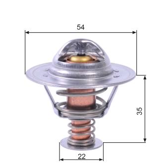 Thermostat d'eau GATES TH22689G1