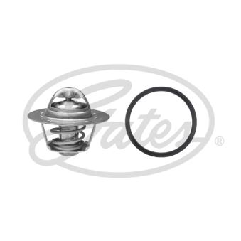 Thermostat d'eau GATES