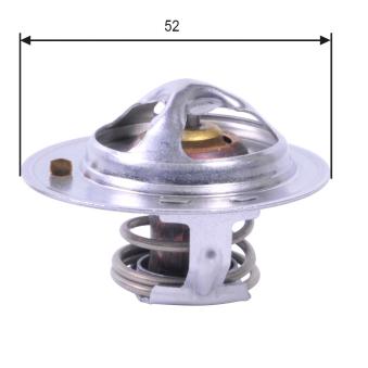 Thermostat d'eau GATES TH24485G1