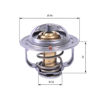 Thermostat d'eau GATES TH42589G1