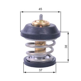 Thermostat d'eau GATES TH42995G1
