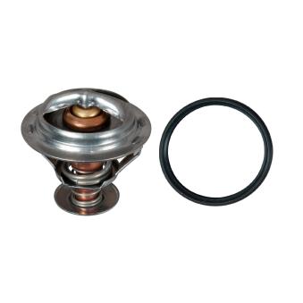 Thermostat d'eau GATES