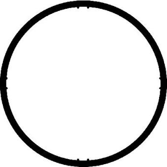 Joint d'étanchéité, collecteur d'admission CORTECO