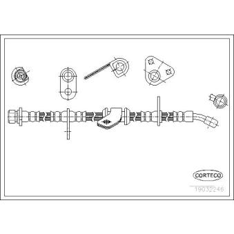 Flexible de frein avant droit CORTECO