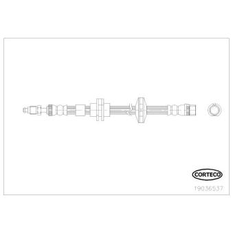 Flexible de frein avant gauche CORTECO 19036537