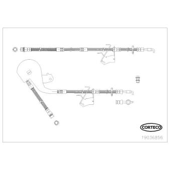 Flexible de frein avant droit CORTECO