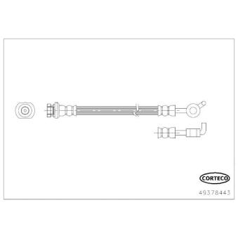 Flexible de frein arrière gauche CORTECO