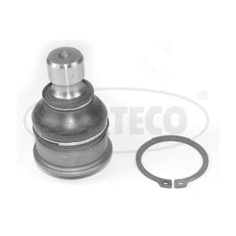 Rotule de suspension CORTECO