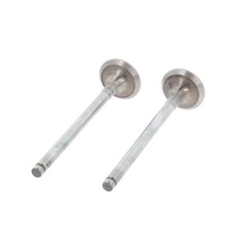 Soupape d'échappement CORTECO 551148B