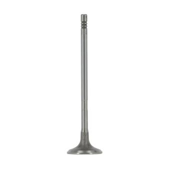 Soupape d'admission AE V95268