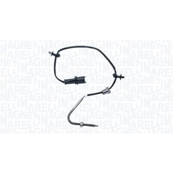 Capteur, température des gaz MAGNETI MARELLI