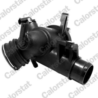 Thermostat d'eau CALORSTAT BY VERNET