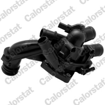 Thermostat d'eau CALORSTAT BY VERNET