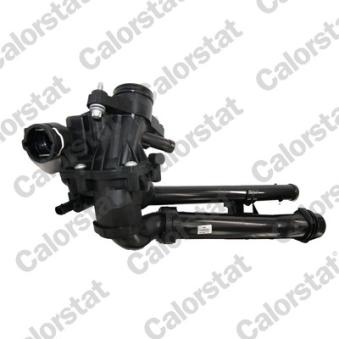 Thermostat, liquide de refroidissement CALORSTAT BY VERNET