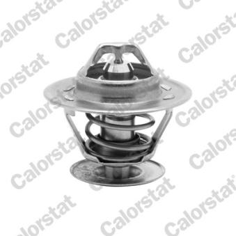 Thermostat d'eau CALORSTAT BY VERNET TH1335.87J