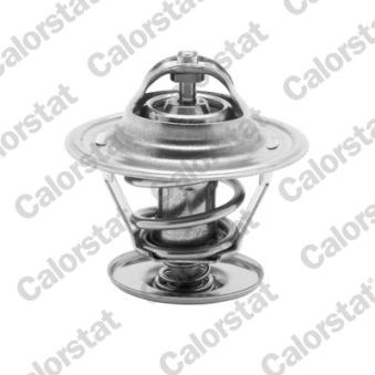 Thermostat d'eau CALORSTAT BY VERNET