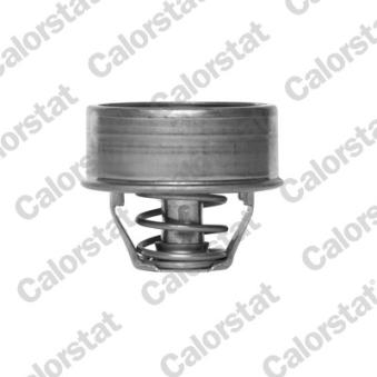 Thermostat d'eau CALORSTAT BY VERNET